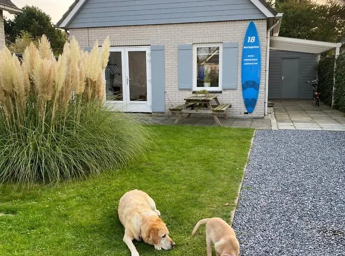 Tatil Evi Sommerhaus Zeeland